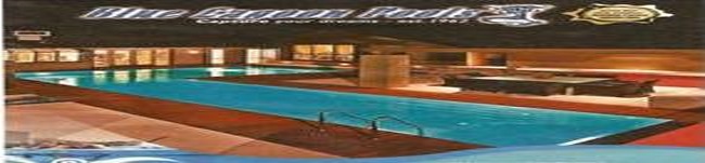 Blue Lagoon Pools logo