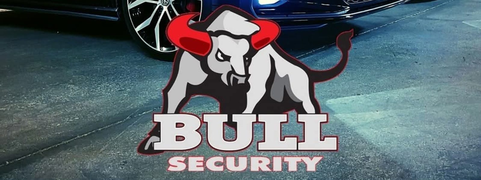 Bull Security logo