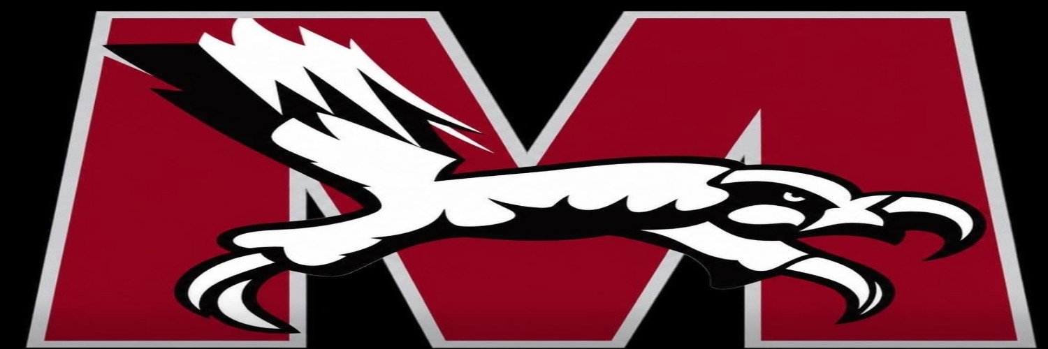 Maxim Security Service logo