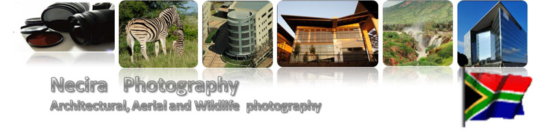 Necira Photography logo
