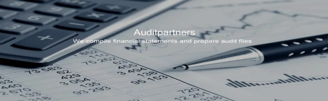 Louis Marais and Partners Chartered Accountants ( Lynnwood Glen) logo