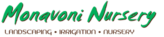Monavoni Nursery